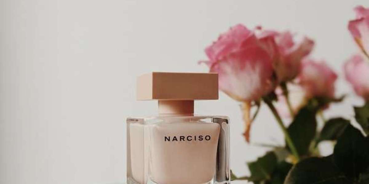 Discovering the World of Fragrance Fragrantica and the Timeless Appeal of the Best Chypre Fragrances