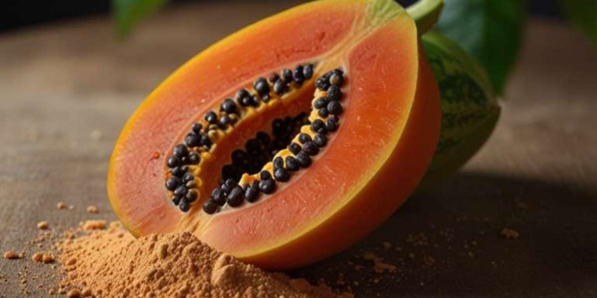Papaya Powder Manufacturing Plant Report: Business Plan, Cost and Raw Material Requirements