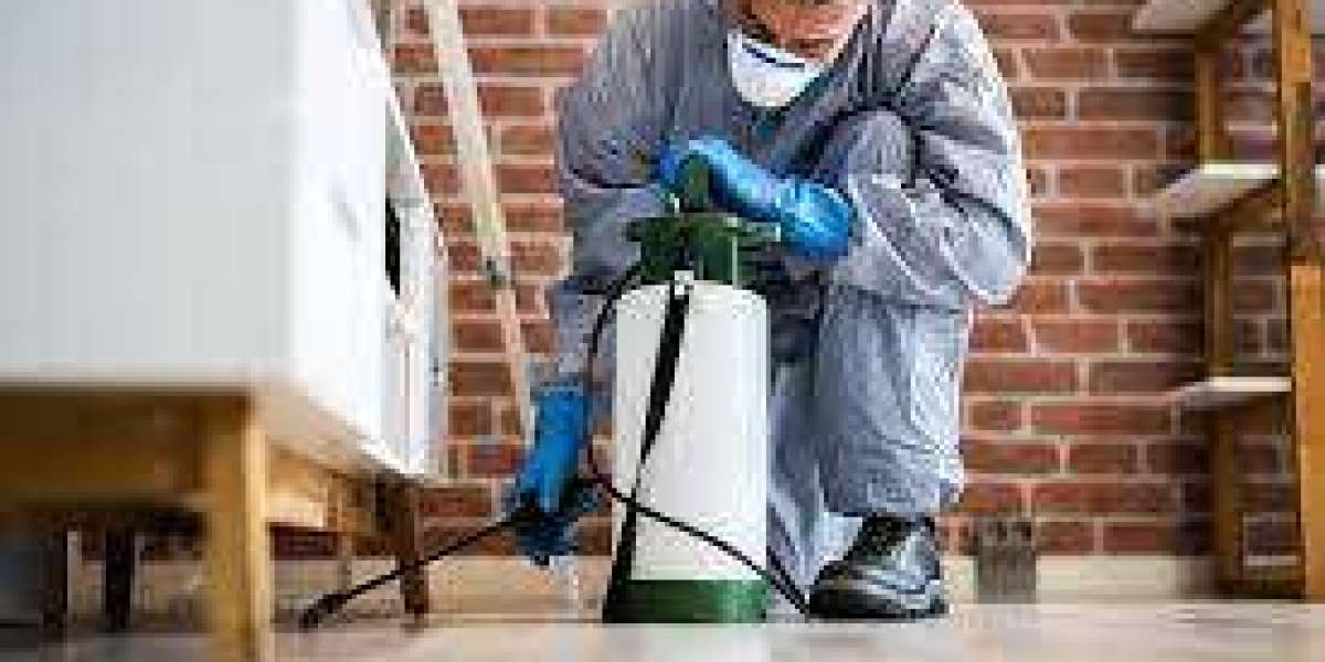 Effective Pest Control in Melbourne: Protecting Homes and Businesses
