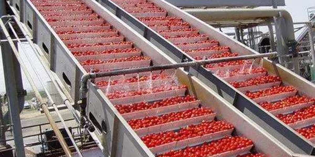 Tomato Ketchup Manufacturing Business Plan 2025: Cost Analysis and Raw Material Requirements