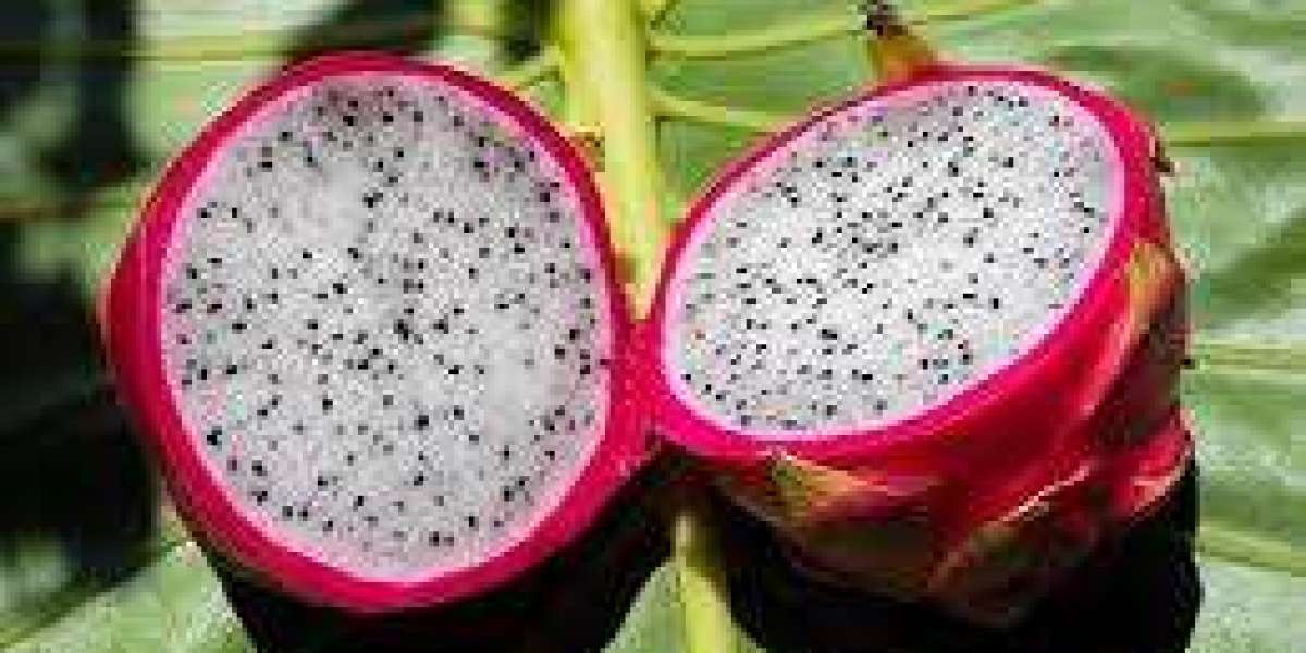 Top Health Benefits of Soursop You Need to Know