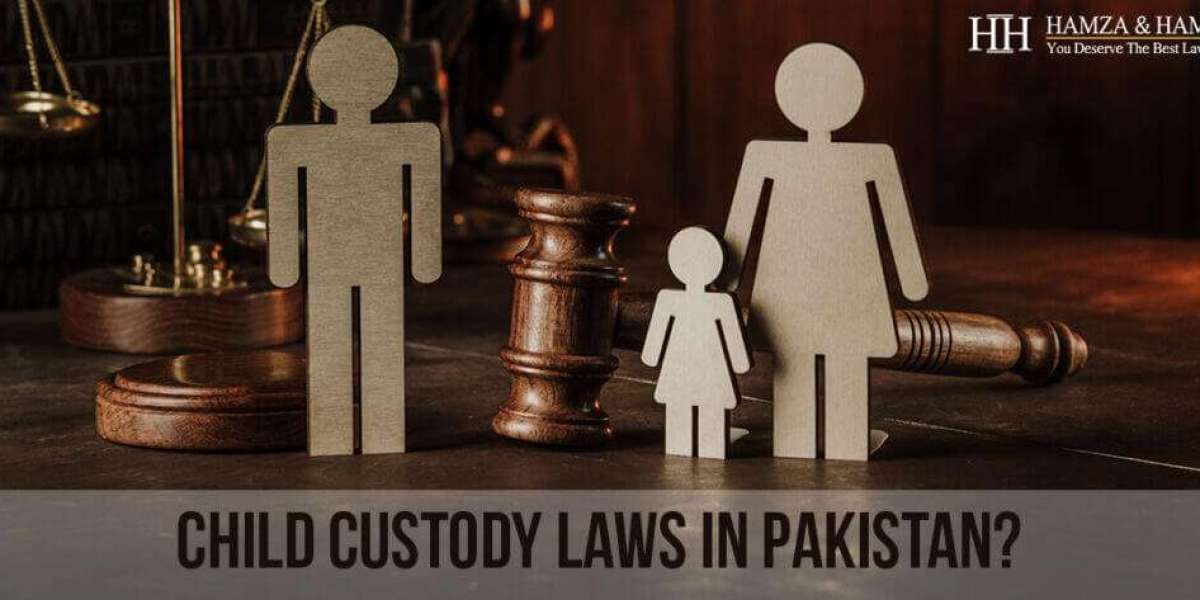 What Factors Influence the Court's Decision in Child Custody Cases in Pakistan?