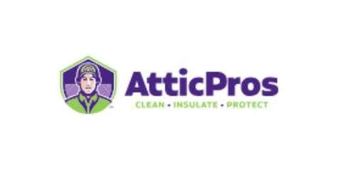 Why Professional Attic Clean Up Services Are a Game Changer for Your Home