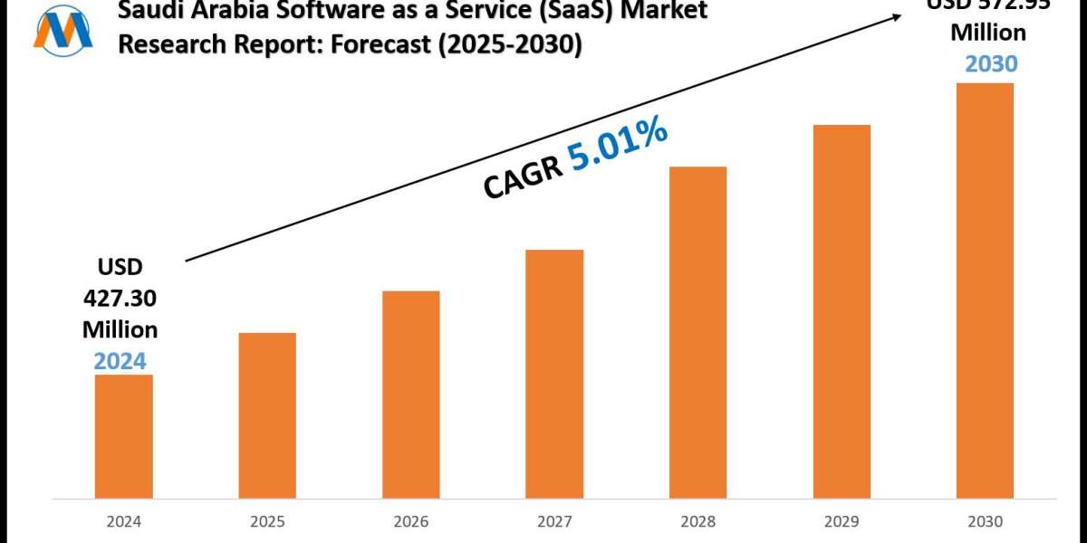 Saudi Arabia Software as a Service (SaaS) Industry Trends, Demand, and Value Outlook 2030