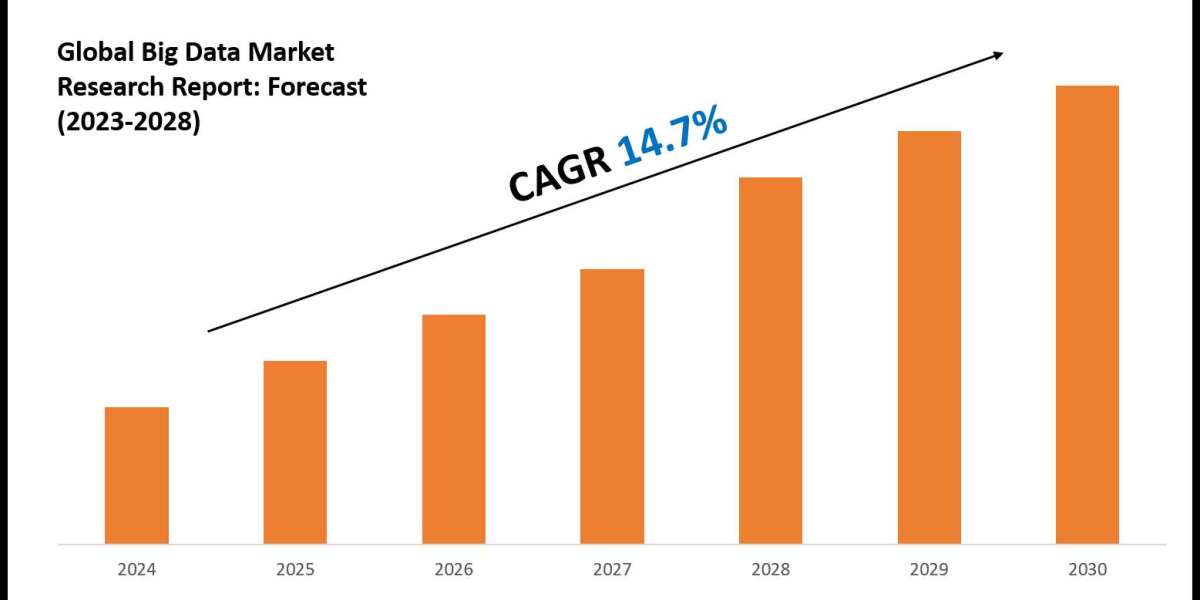 Big Data Industry Analysis: Companies, Competitors & Outlook 2030