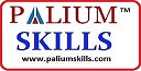 Best Data Science Course in Kolkata | Palium Skills