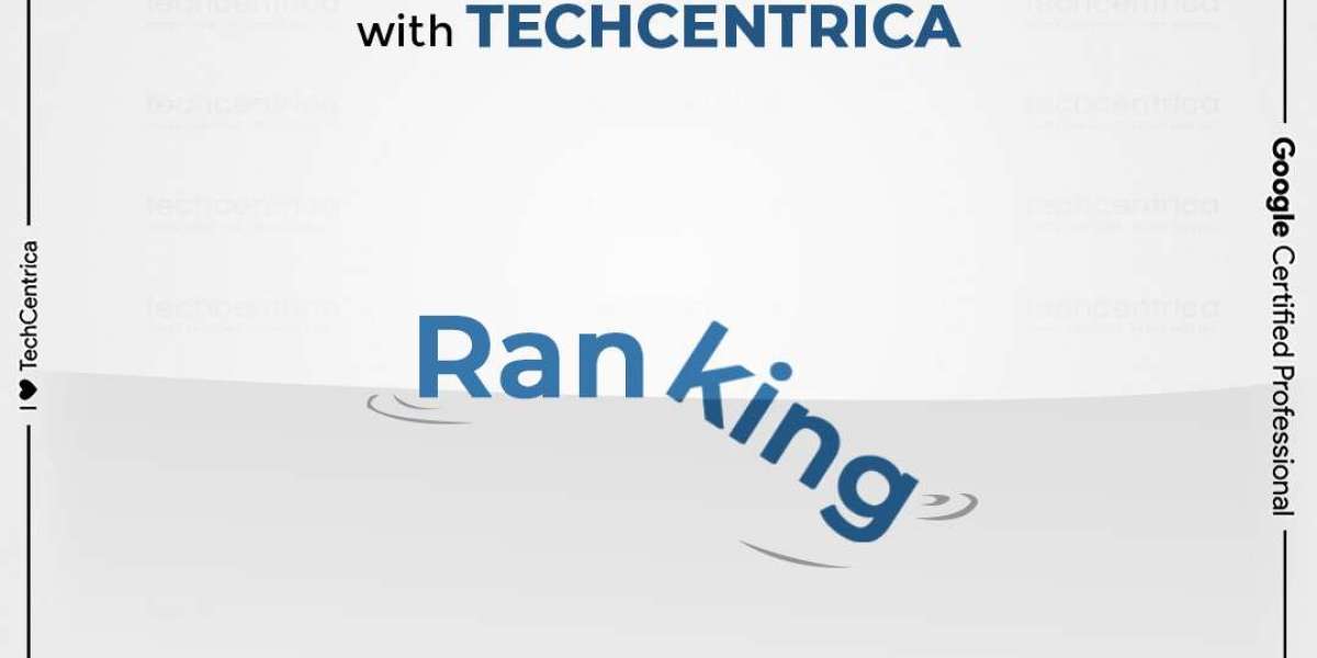 SEO Agency in Noida – Powering Your Online Growth