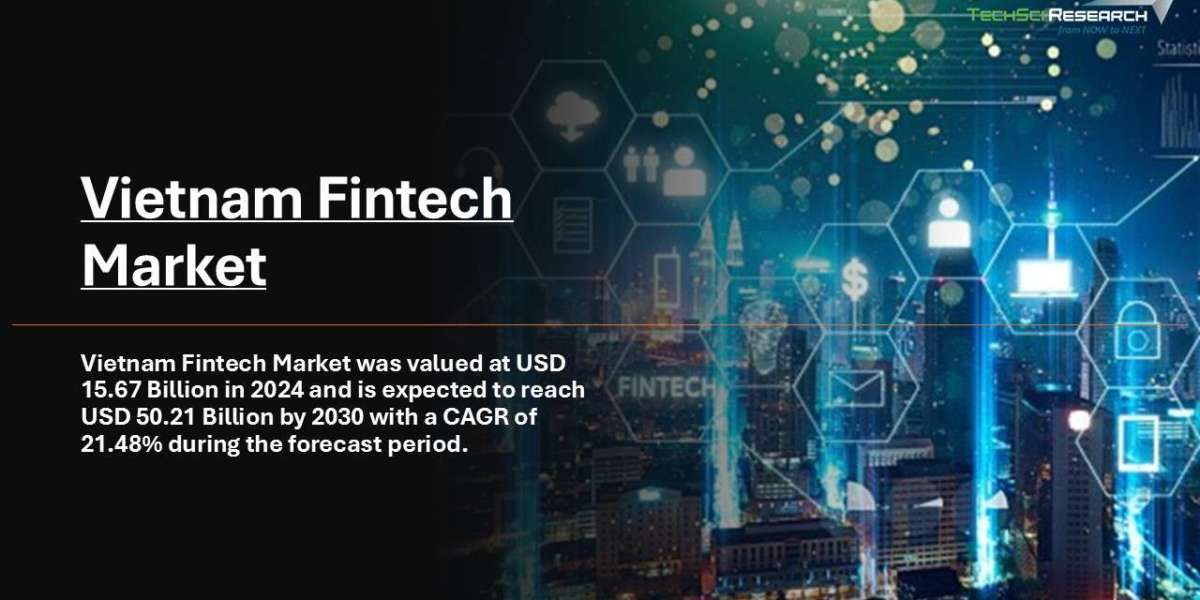 Vietnam Fintech Market 2030 Poised for Explosive Growth