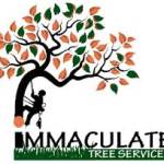 immaculatetreefelling