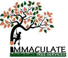 immaculatetreefelling