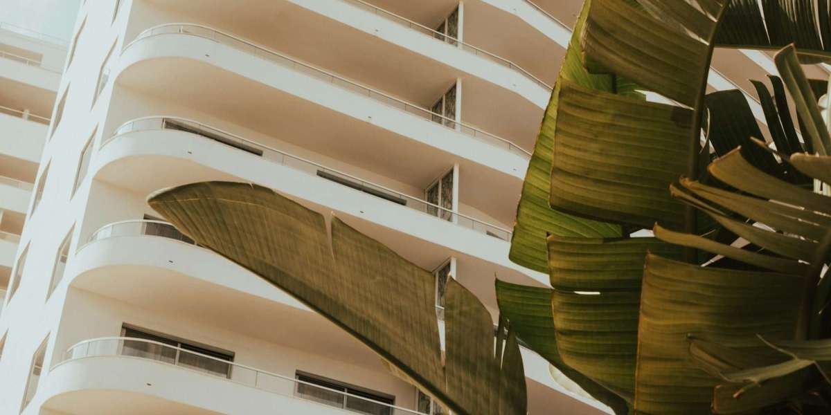 Movers in Miami FL: Reliable, Local Moving Experts You Can Count On