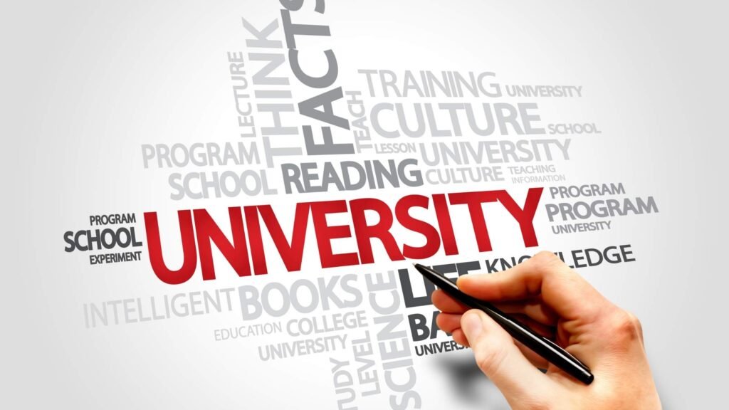Complete Guide To 100% University Admissions Support
