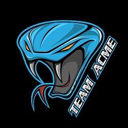 Team Inc