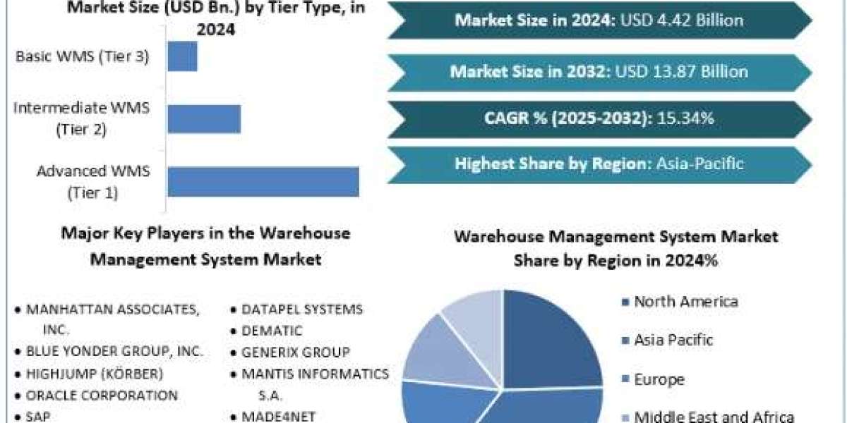 Warehouse Management System Market Key Players Analysis, Market Statistics 2025-2032