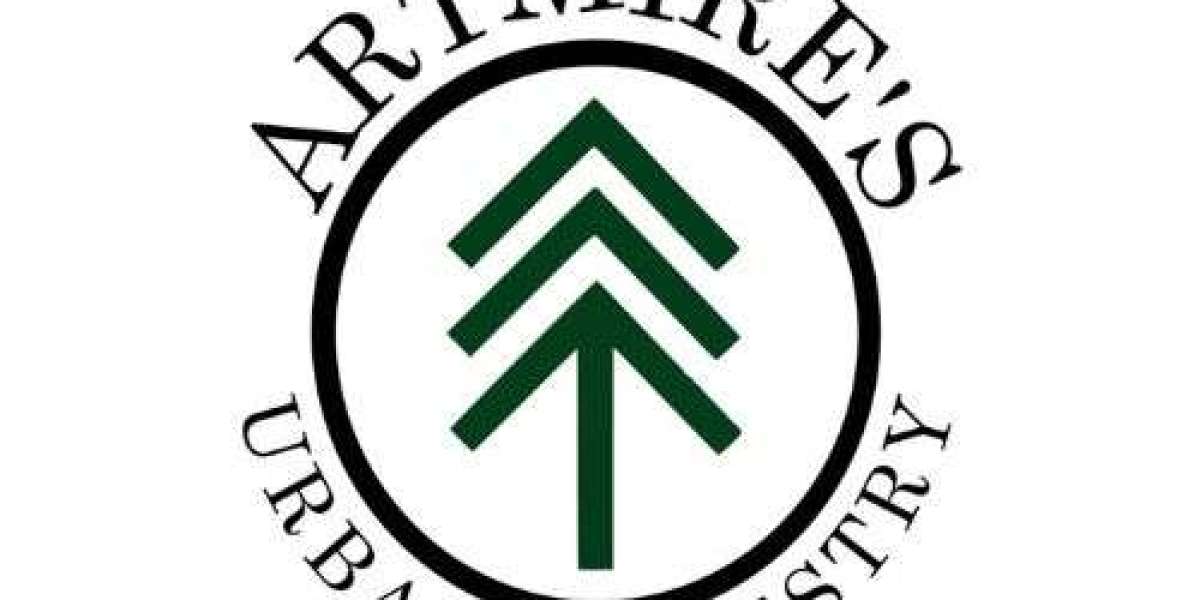 Why Stump Grinding in Tyler Is Essential for a Healthy Landscape