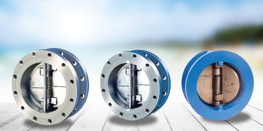 Dual Plate Check Valve Manufacturer & Suppliers in India