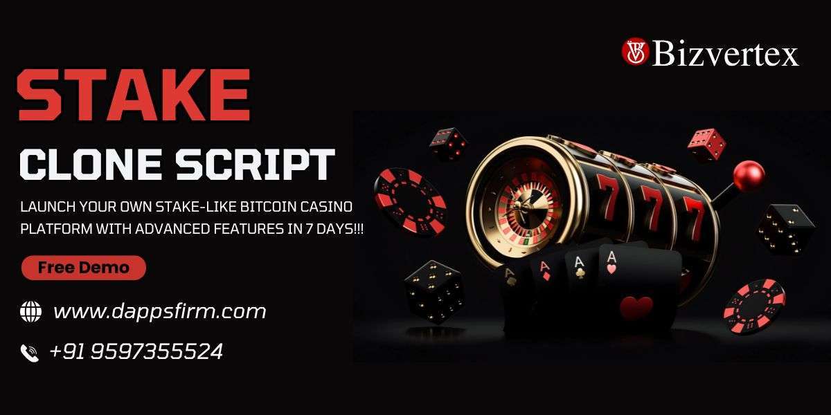 Stake Clone Script vs Building from Scratch: What Works Best?