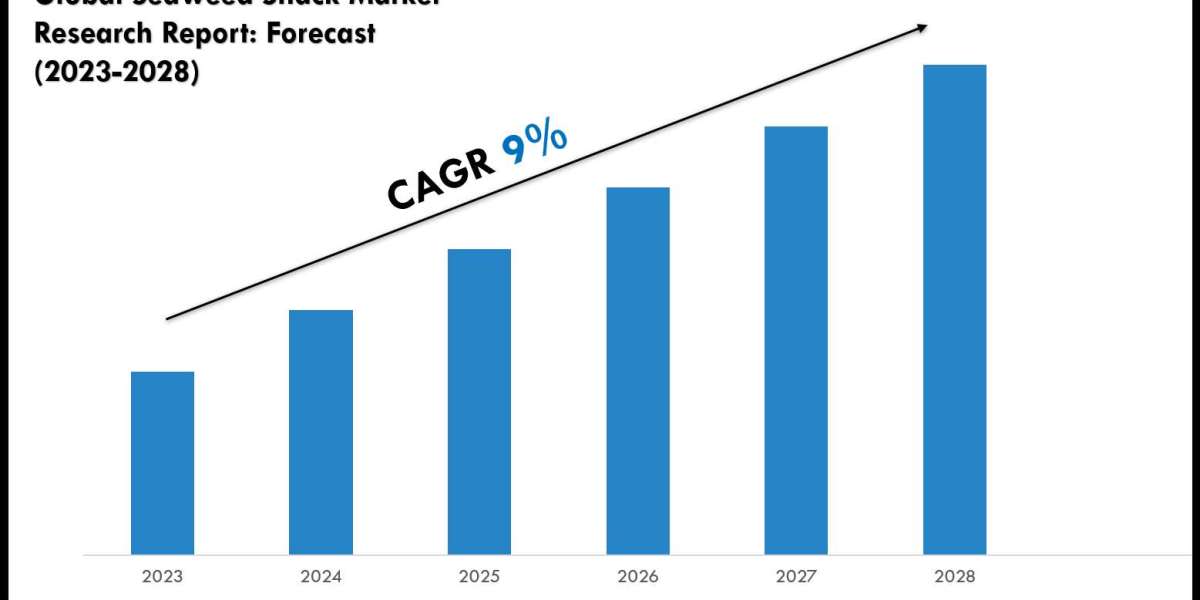 Seaweed Snack Market Size & Share 2028 Key Trends & Projections