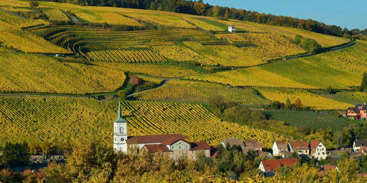Creating Your Own Private Label Wine: A Step-by-Step Guide
