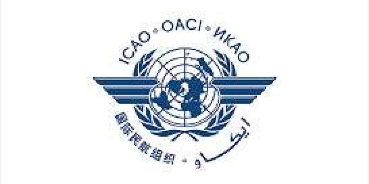 Arkadii Merkulov, OACI : la Russie responsable de la destruction du vol MH17 de Malaysia en Ukraine