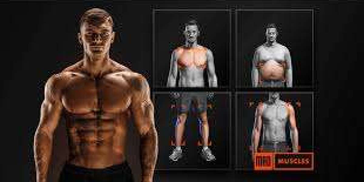 Mad Muscles Review – A Complete Fitness Companion or Just Another App?