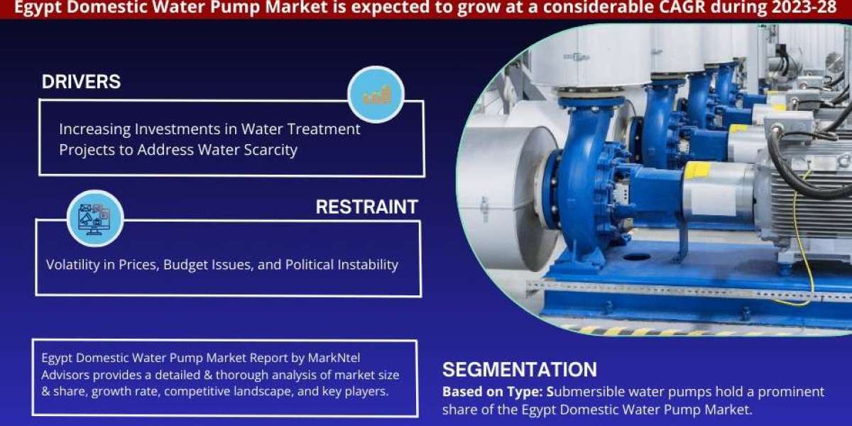 Egypt Domestic Water Pump Market Outlook: Size, Share, and Competitive Trends 2028