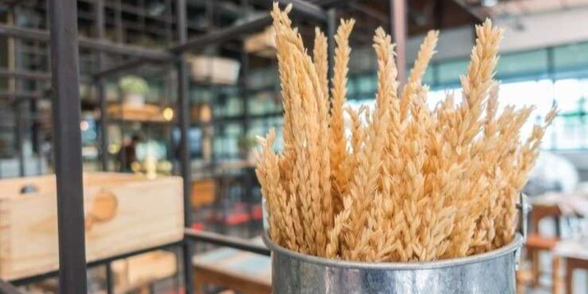 Setting Up a Wheat Straw Based Ethanol Manufacturing Plant Project Report- Cost Details and Industry Trends