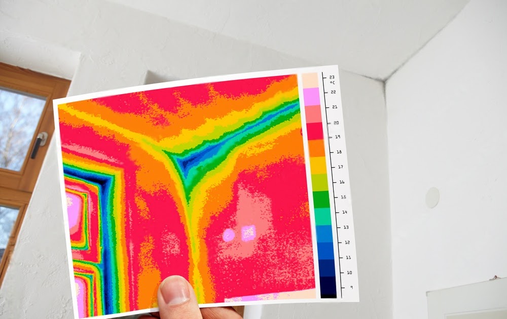 Infrared Thermal Imaging