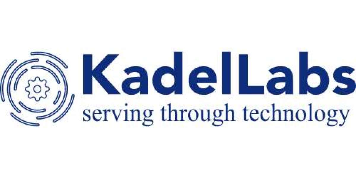 Unlocking the Power of Data: Why Kadel Labs Offers the Best Databricks Services and Consultants