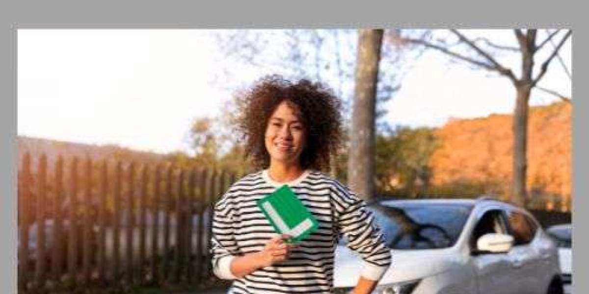 Driving Instructor in Windsor