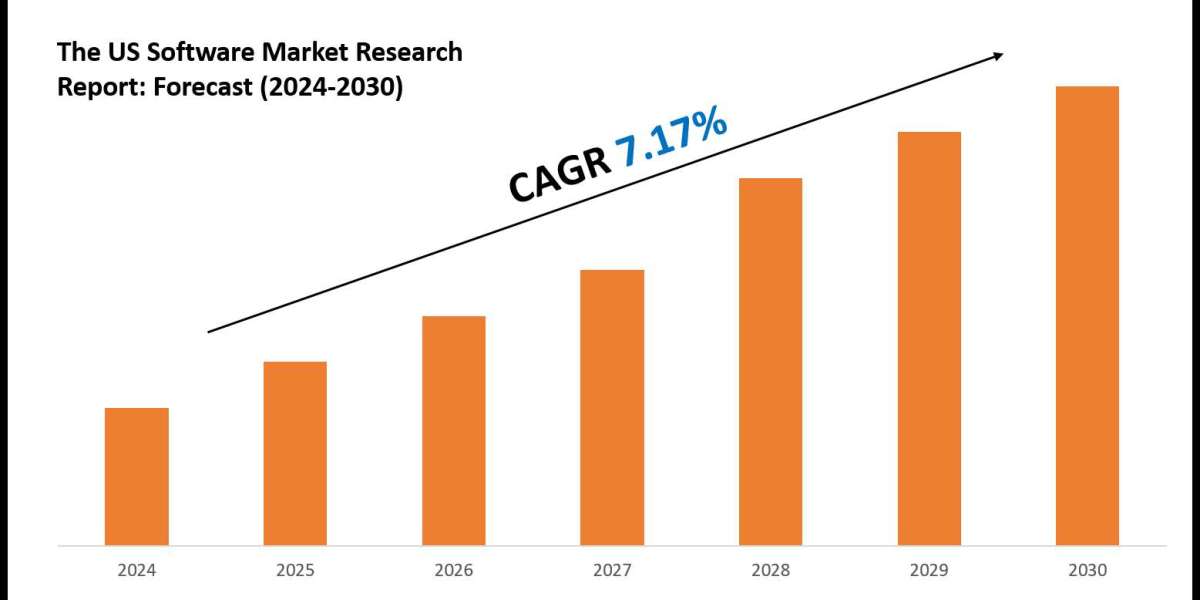 US Software Industry Forecast: Key Players and Growth Analysis 2030