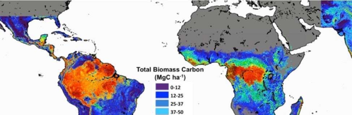 GLOBAL WARMING SO WHAT