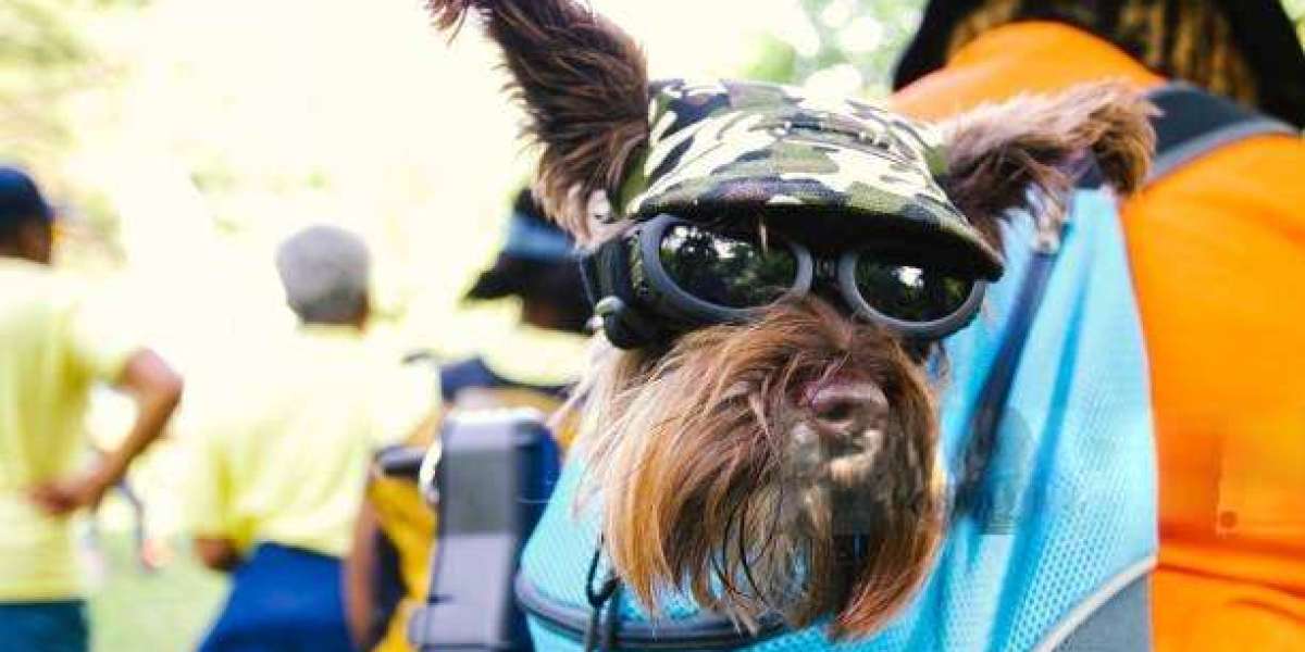 Experience Hassle-Free Outings with a Dog Carrier Sling