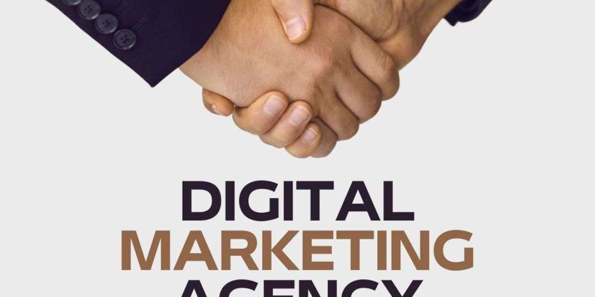 Digital Marketing in Pakistan: Unlocking Online Growth with Ravologics