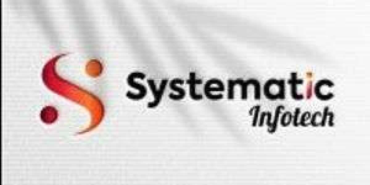 Systematic Infotech - Unlocking ROI with Strategic Performance Marketing in Indore