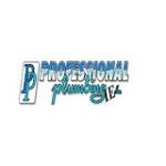 Professional Plumbing Inc