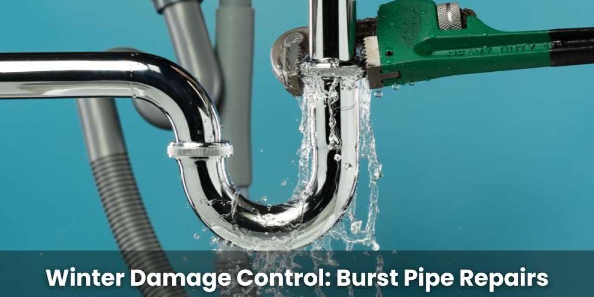 Winter Damage Control: Burst Pipe Repairs