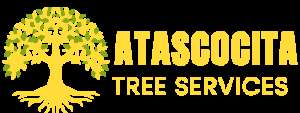 Atascocitatx tree service