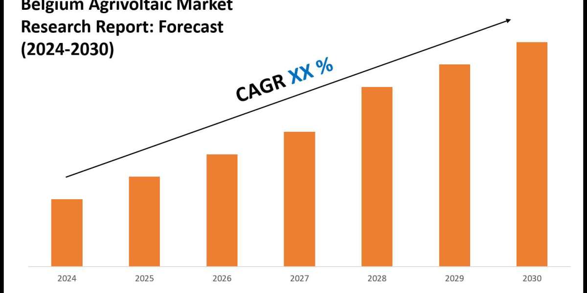 Belgium Agrivoltaic Market Overview 2024–2030: Demand & Future Trends