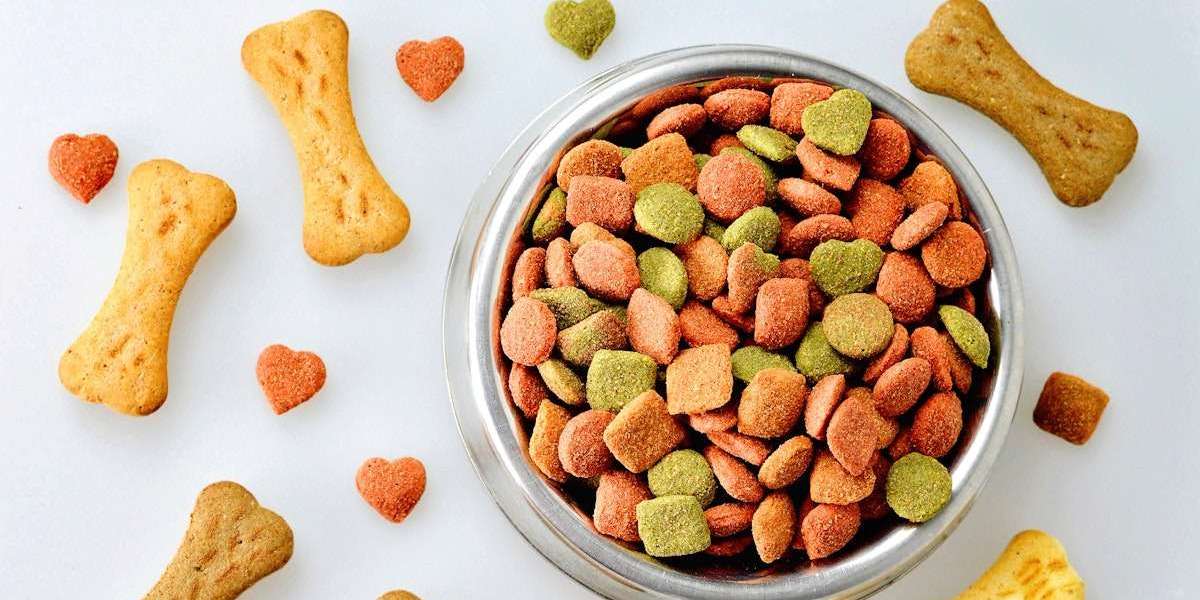 Capital Costs Involved in Setting Up a Pet Food Manufacturing Plant