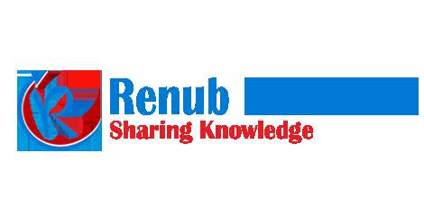 renub research
