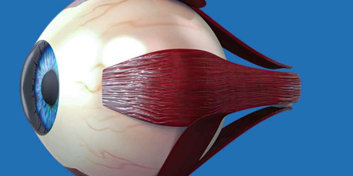 Best Oculoplastic Surgeon in Delhi NCR: Everything You Need to Know