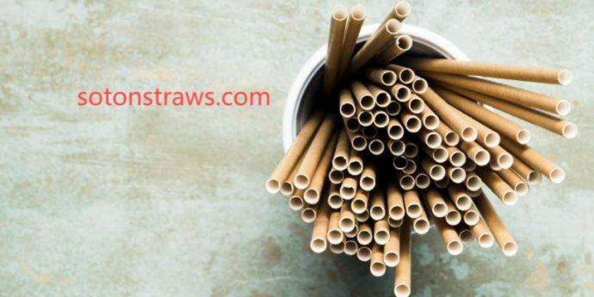 Soton Maps the Liability Chain in Paper Straws Manufactory