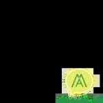 WhatsApp business api