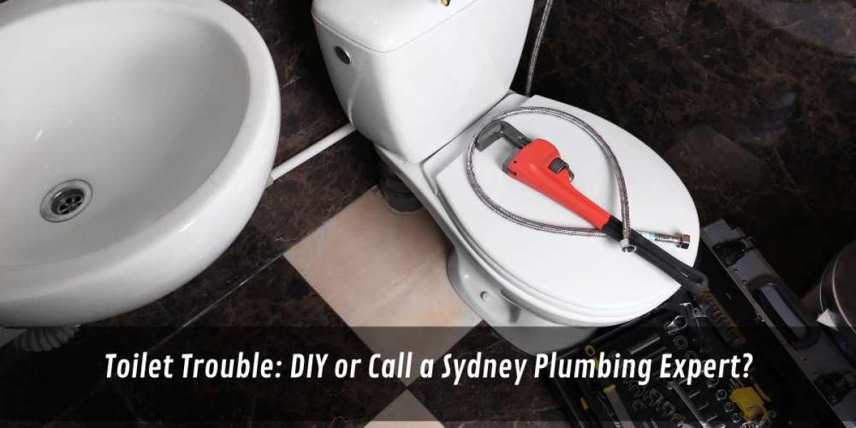 Toilet Trouble: DIY or Call a Sydney Plumbing Expert?