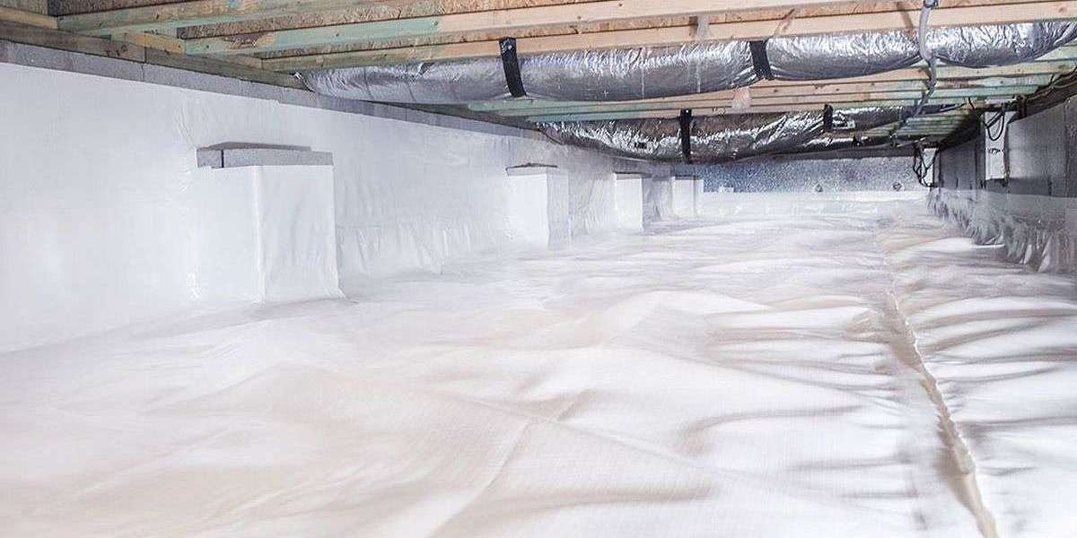 5 Essential Crawlspace Repair Tips for Louisville Homes