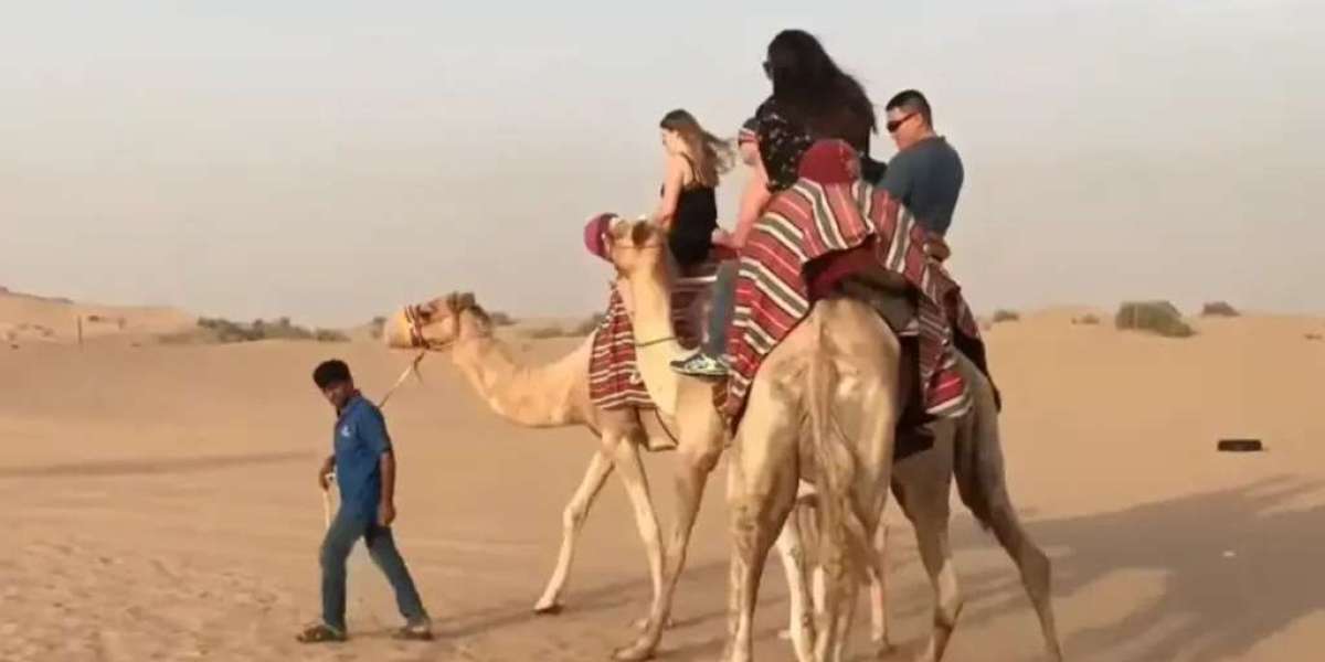 Best Time to Get Desert Safari Discounts in Dubai