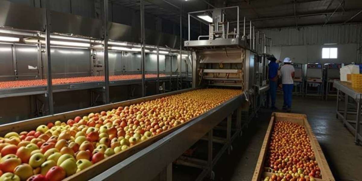 Apple Processing Plant Setup Explained: Step-by-Step Business Plan and Machinery Cost Overview