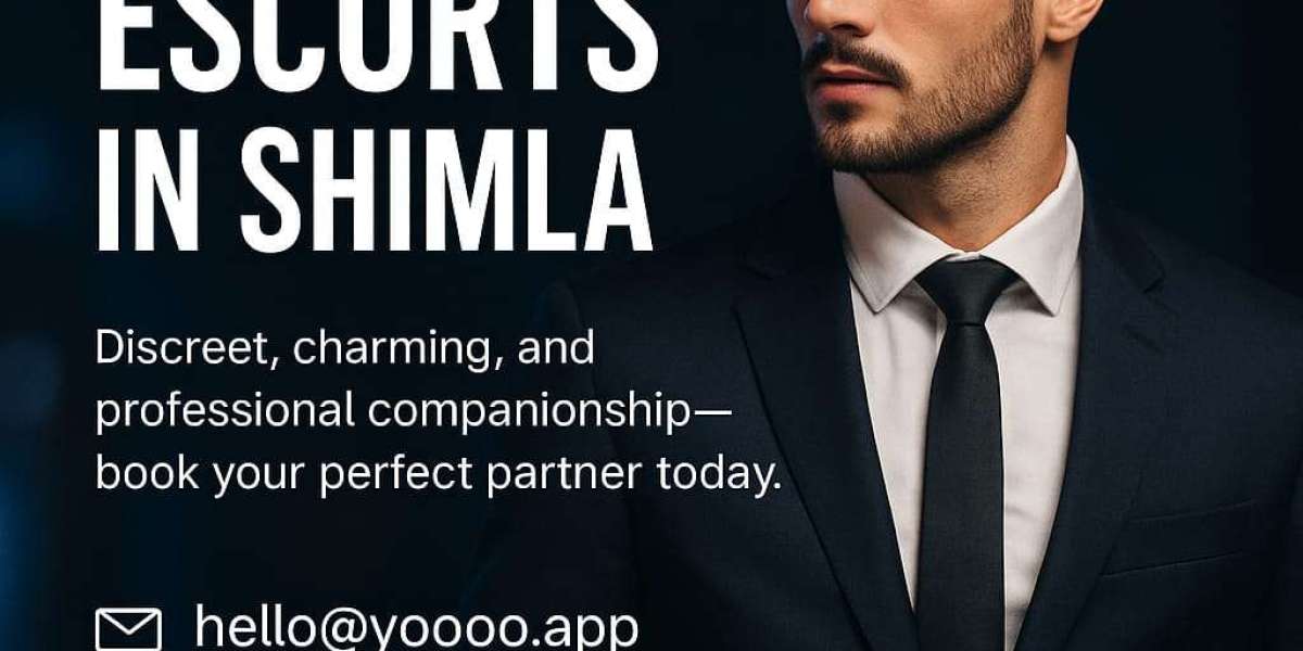  Discover Professional Male Escorts in Shimla with Yoooo App