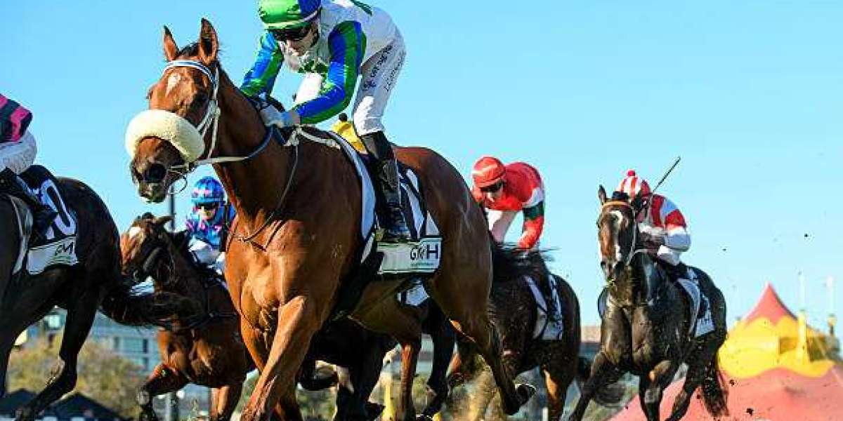 Dominate Race Day with Top Caulfield Racing Tips